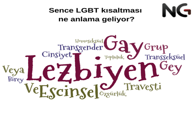 LGBT ve Tercihler (Kamuoyu Araştırması)