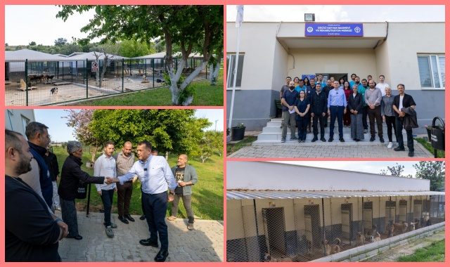Yenişehir’de Patili Dostlar 5 Yıldızlı 