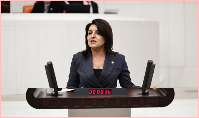 GÜLCAN KIŞ: TÜRKİYE BÜYÜMEYİ UNUTTU
