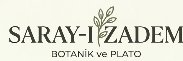 DOĞANIN RENK PATLAMASI: ÇİÇEKLİ BİTKİLER İLE YAŞAM ALANLARINIZI YENİLEYİN

