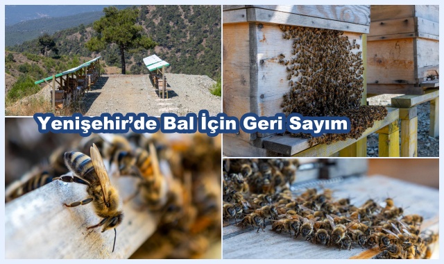 Yenişehir’de Bal İçin Geri Sayım