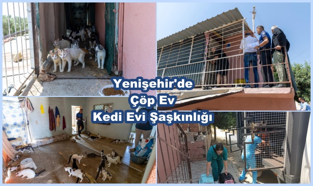 Yenişehir'de Çöp Ev Kedi Evi Şaşkınlığı