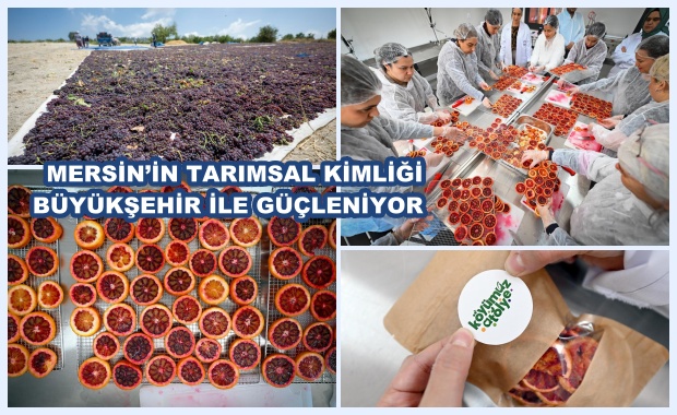 MERSİN’İN TARIMSAL KİMLİĞİ BÜYÜKŞEHİR İLE GÜÇLENİYOR