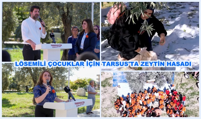 LÖSEMİLİ ÇOCUKLAR İÇİN TARSUS'TA ZEYTİN HASADI 
