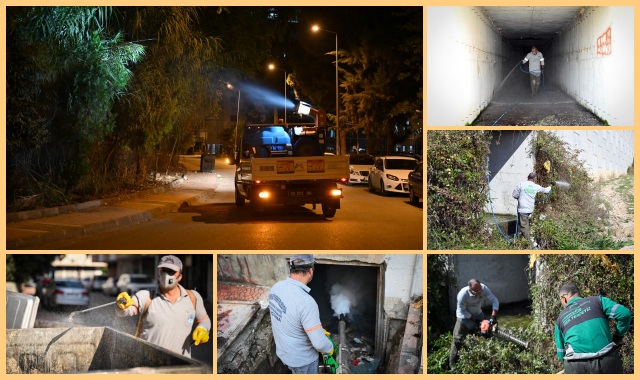 MERSİN BÜYÜKŞEHİR'DEN 13 İLÇEDE ZARARLILARA KARŞI YIL BOYU MÜCADELE